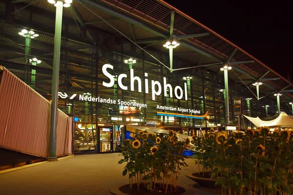 Why Choose Our Amsterdam Airport Transfer Service?